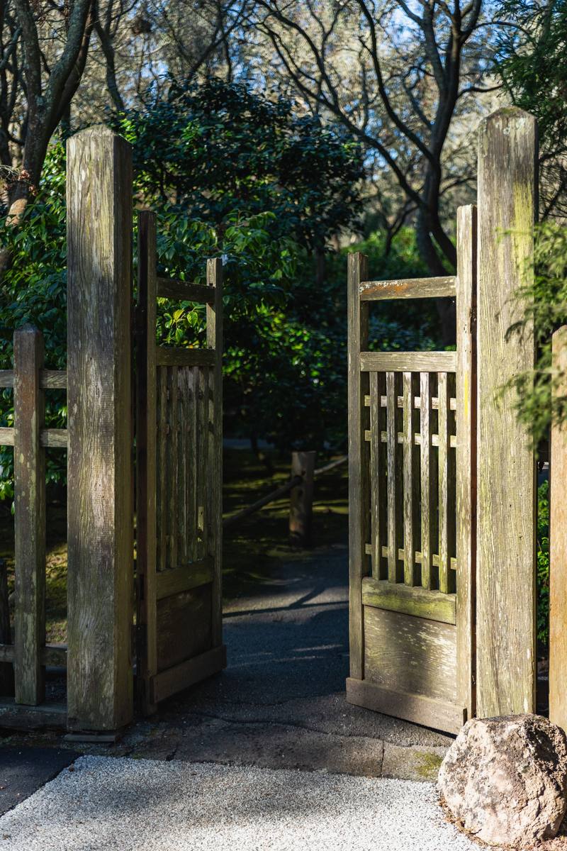 Wooden garden gate set in a boundary